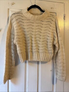 Urban Outfitter Cozy Cropped Open-Knit Sweater